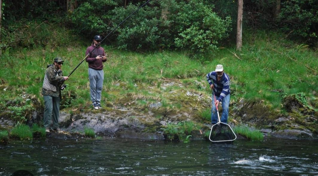 La Salmonera Cangas De Onis Caño Exteriér fotografie