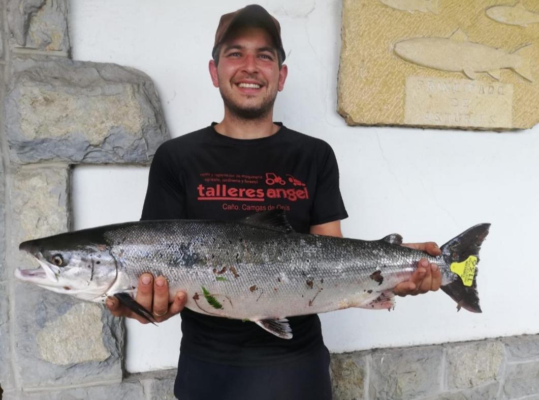 La Salmonera Cangas De Onis Caño Exteriér fotografie